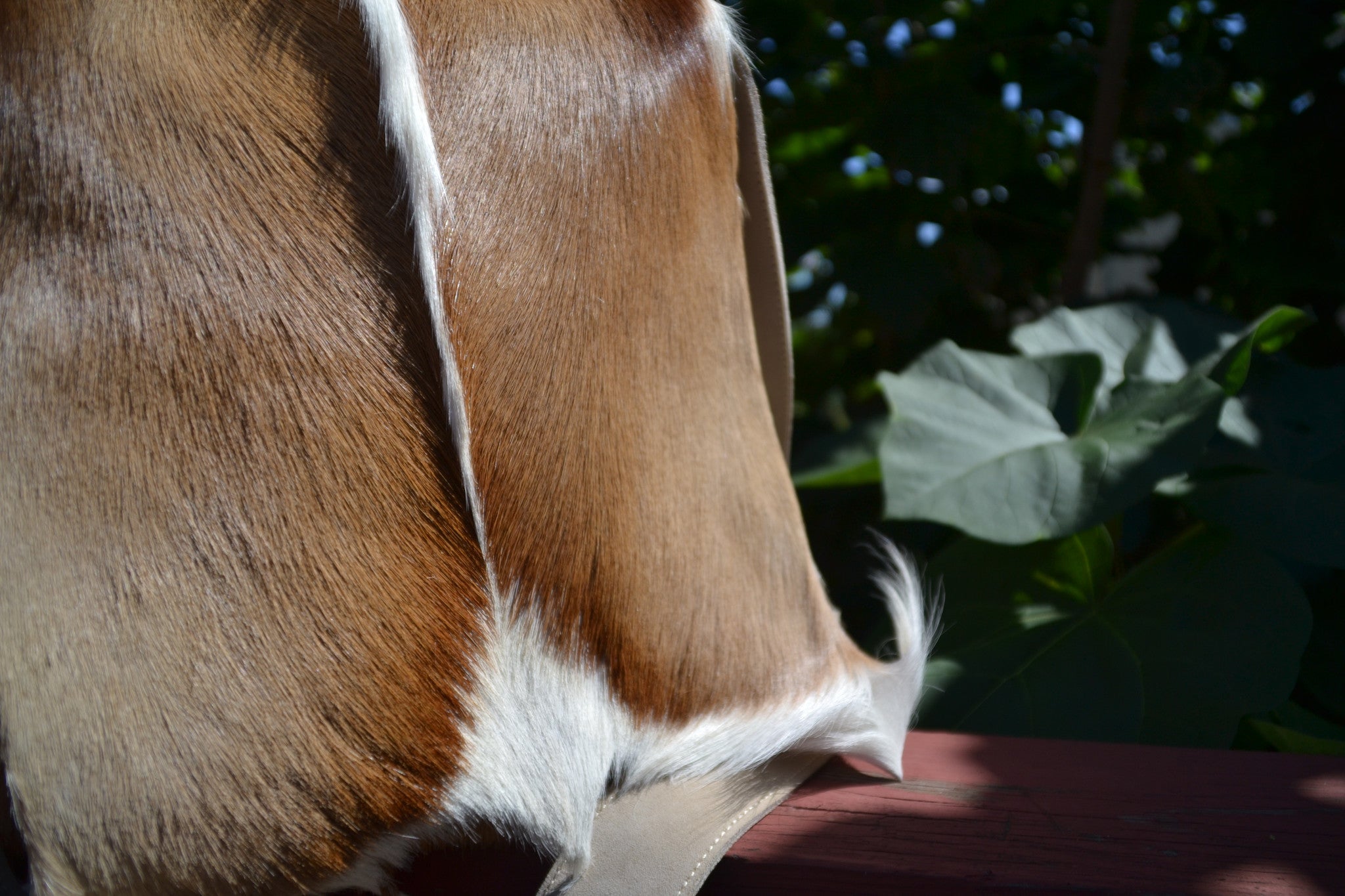 large springbok antelope messenger african bag fur vegan south africa quality